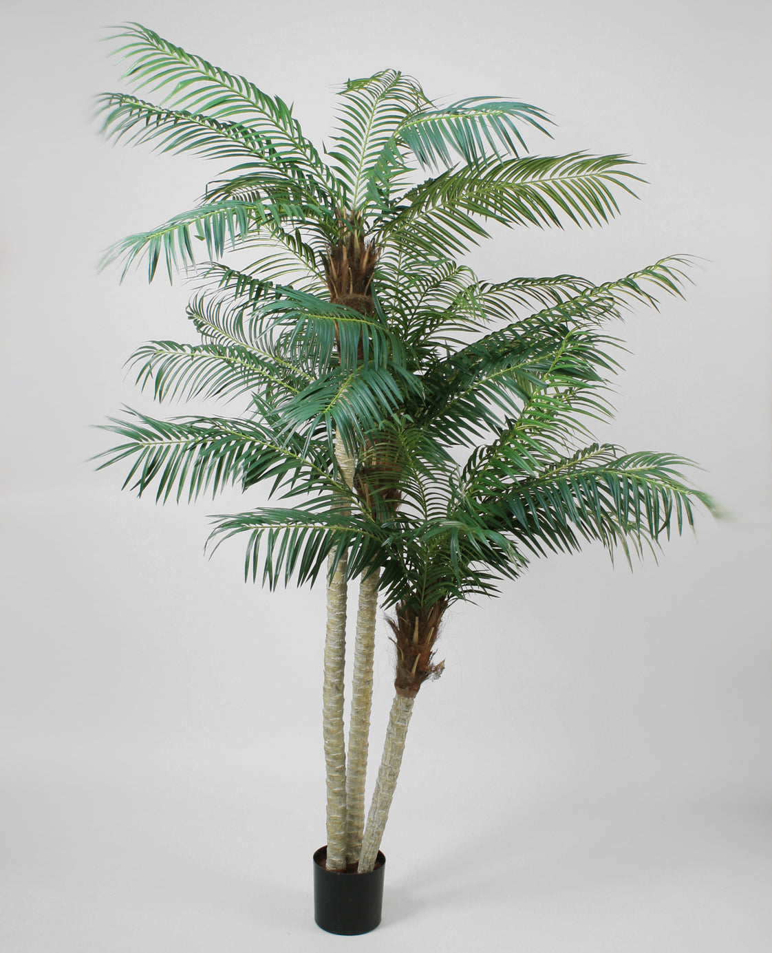 Phoenix Palm konstträd 230cm