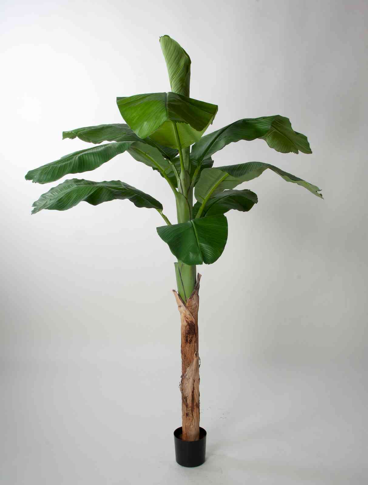 Bananpalm/Bananträd 140cm