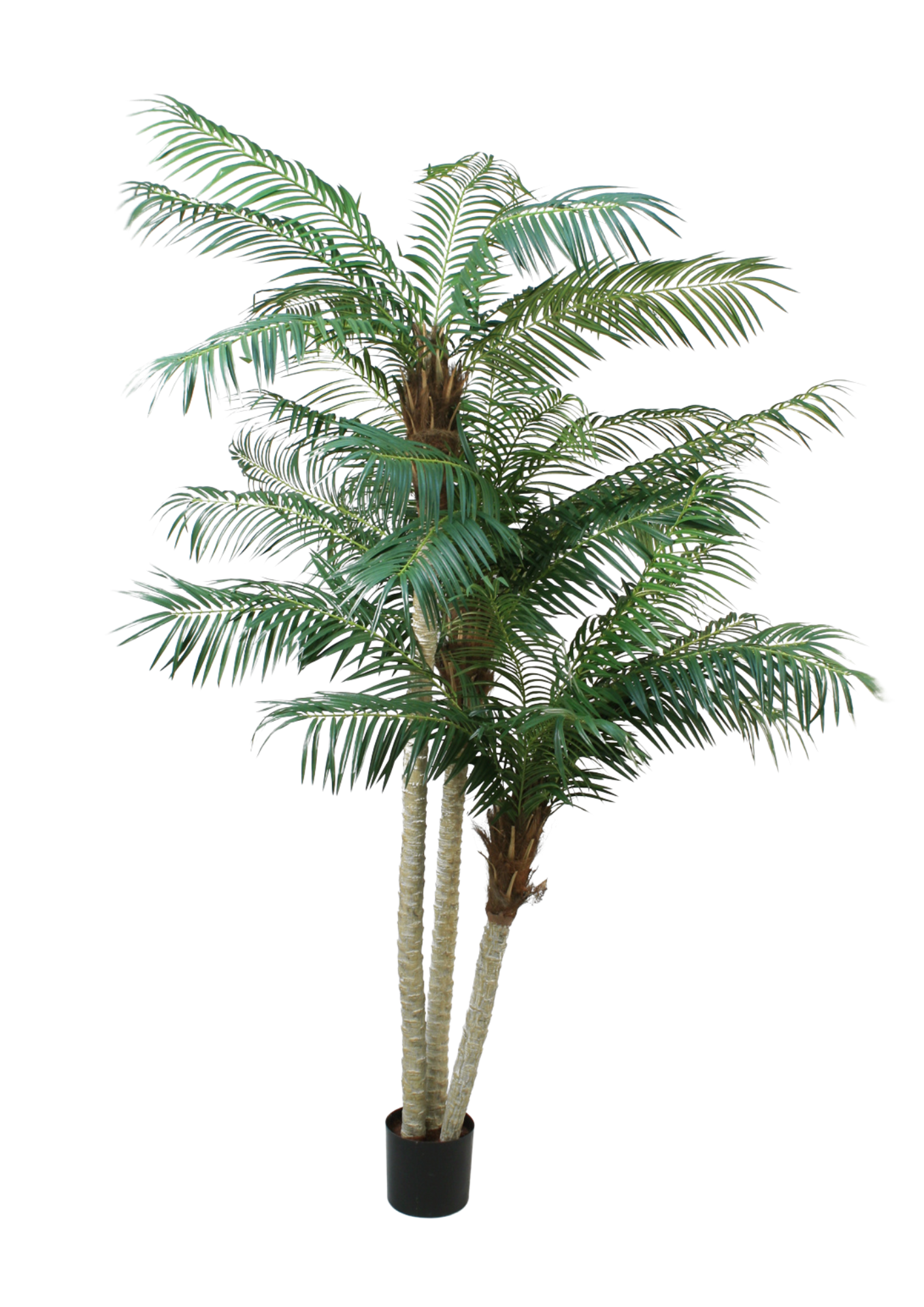 Phoenix Palm konstträd 230cm