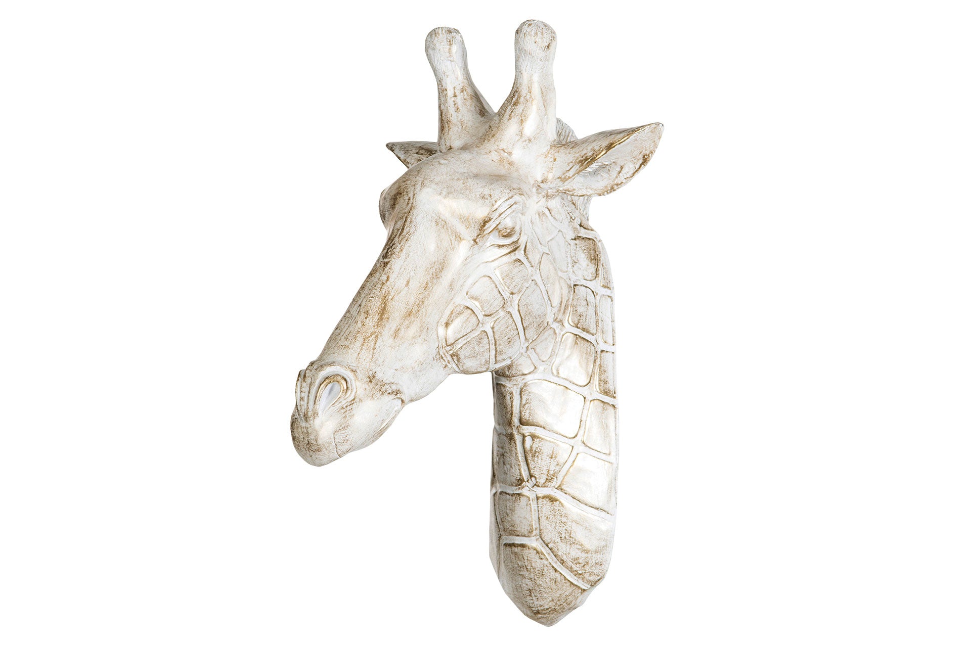 Giraffhuvud