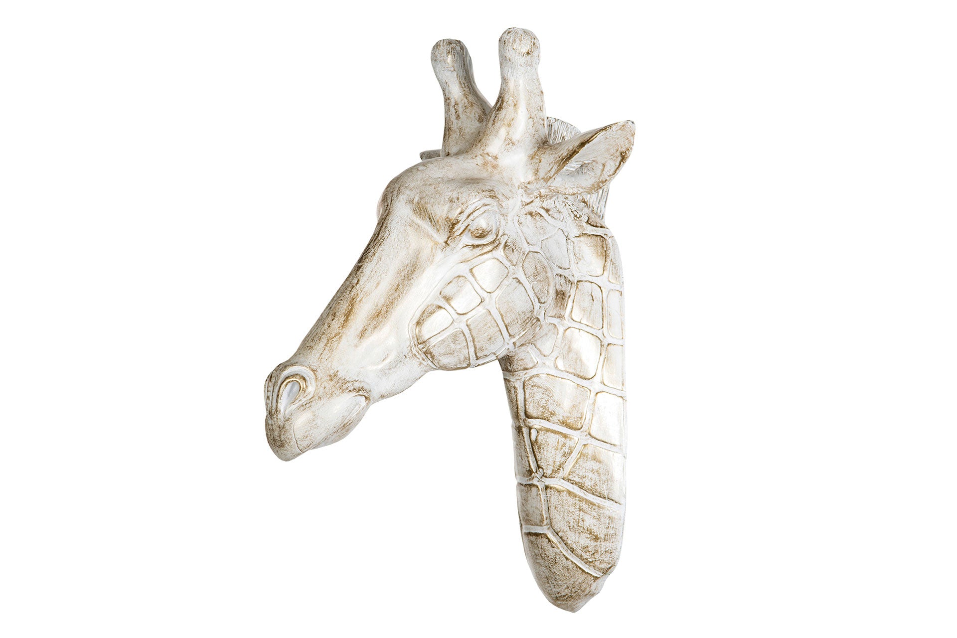 Giraffhuvud