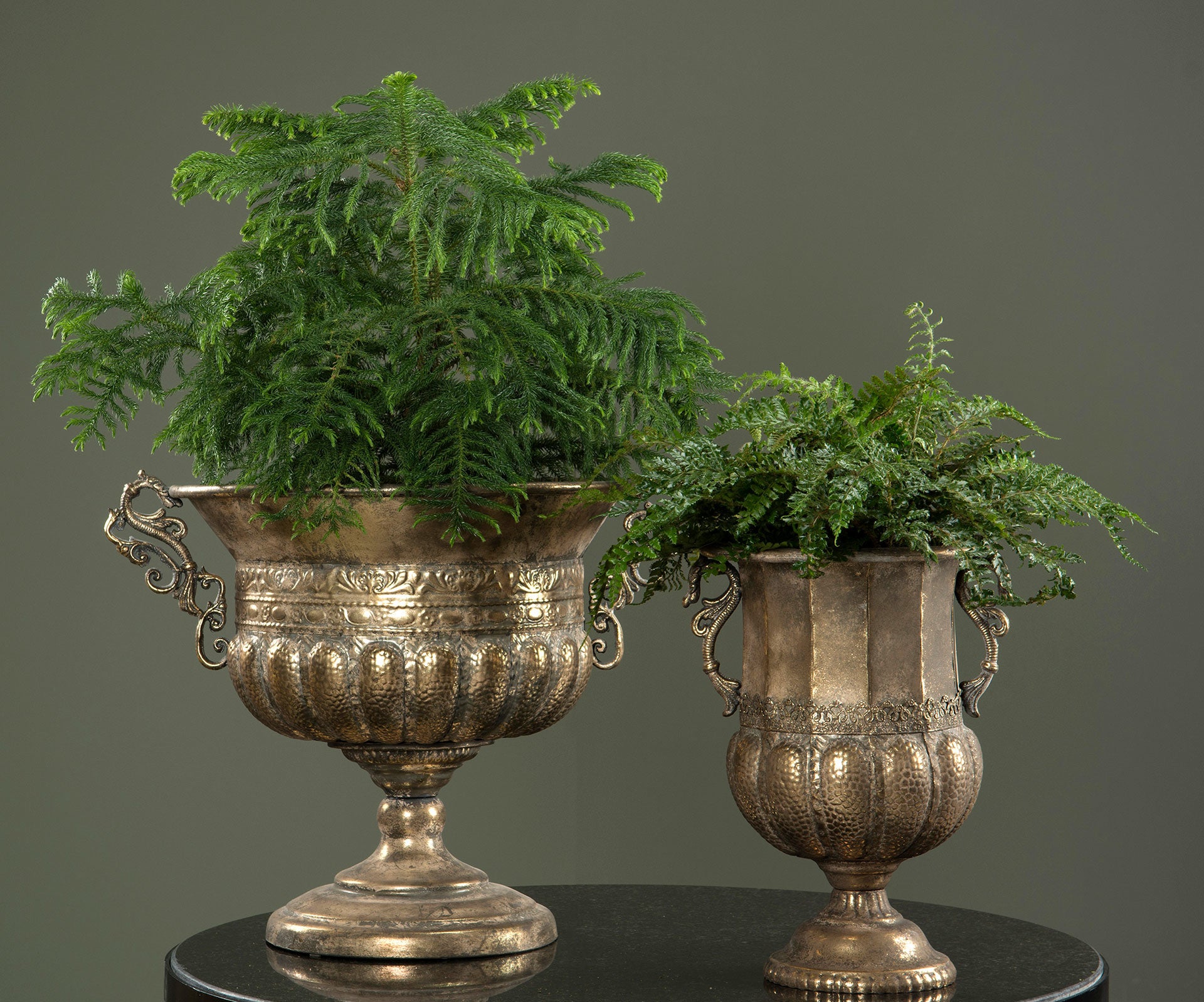 Pokal Isolde