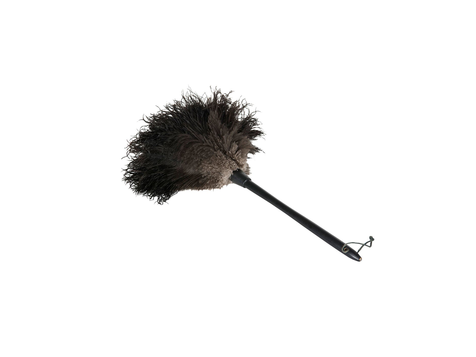 Dammvippa strutsfjäder